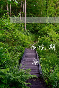 住院期間信用卡逾期(住院導(dǎo)致逾期)