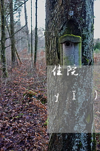 住院費(fèi)可以刷信用卡透支嗎(醫(yī)院付住院費(fèi)可以刷信用卡嗎)