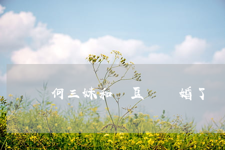 何三妹和楊豆勁離婚了嗎