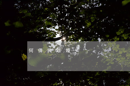 何倩興離婚