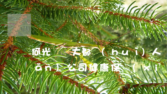 何光榮訴大都會(huì)人壽保險(xiǎn)公司健康保險(xiǎn)合同糾紛案