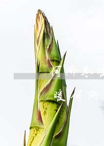 何所冬暖何所夏涼程靜信用卡被停-何所冬暖何所夏涼程靜結(jié)局