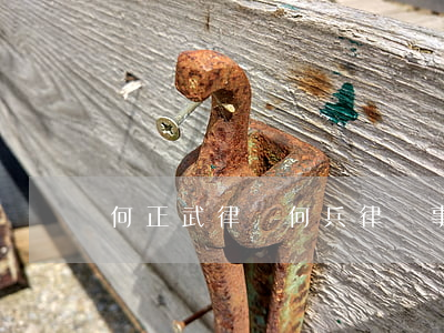 何正武律師(何兵律師事務(wù)所)