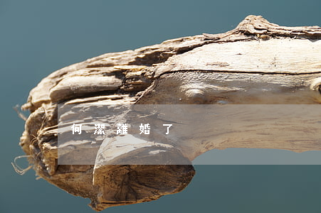 何潔離婚了