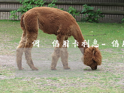 何為信用卡利息-信用卡 實際利率