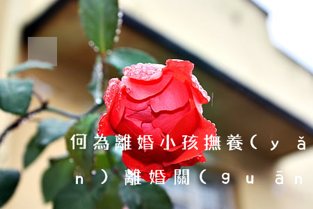 何為離婚小孩撫養(yǎng)權(quán)(離婚關(guān)于孩子的撫養(yǎng)權(quán)怎么判定)