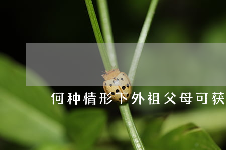 何种情形下（外）祖父母可获隔代探望权？