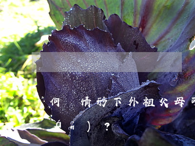 何種情形下（外）祖父母可獲隔代探望權(quán)？