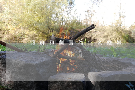 何群和劇雪為什么離婚