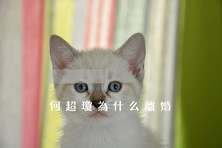 何超瓊為什么離婚