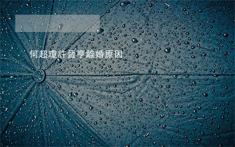 何超瓊許晉亨離婚原因