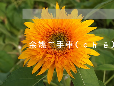 余姚二手車(chē)
