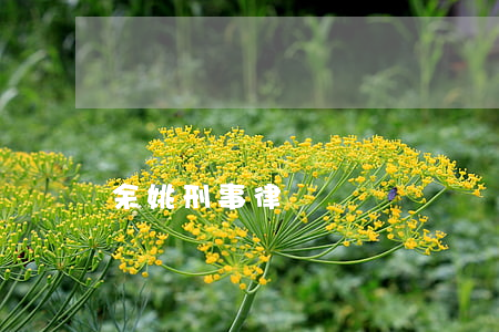 余姚刑事律師