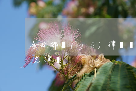 余姚哪個(gè)律師厲害(浙江省余姚市著名律師)
