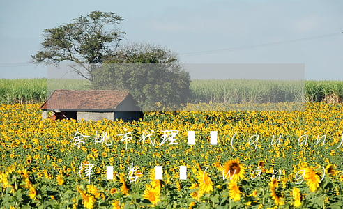 余姚市代理債權(quán)債務(wù)律師咨詢網(wǎng)站-余姚市代理債權(quán)債務(wù)律師咨詢網(wǎng)站有哪些