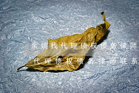 余姚找代理债权债务律师联系方式-余姚找代理债权债务律师联系方式电话