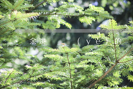 余姚請專業(yè)的債務(wù)律師