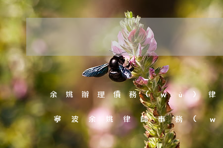 余姚辦理債務(wù)律師事務(wù)所(寧波余姚律師事務(wù)所排行)