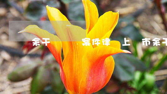余干縣債務案件律師(上饒市余干縣律師電話)