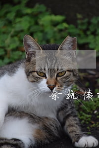 余杭债权债务律师收费