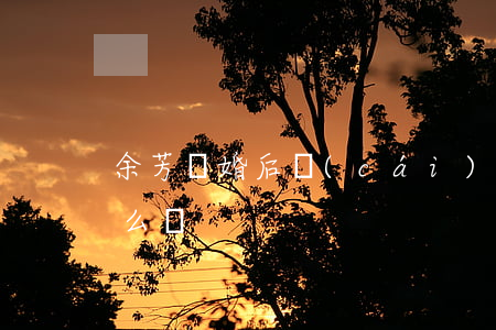 余芳離婚后財(cái)產(chǎn)怎么辦