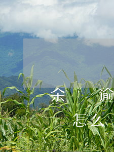 余額寶逾期一年后還會(huì)再回本金嗎怎么還（余額寶逾期一年后還會(huì)再回本金嗎）