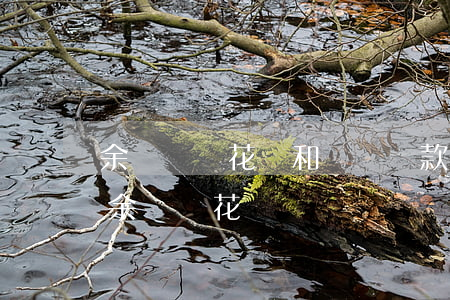 余額寶還花唄和實際還款的不一樣-余額寶余額還花唄