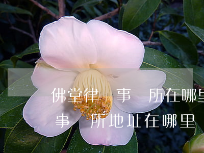 佛堂律師事務所在哪里(普陀區(qū)律師事務所地址在哪里)