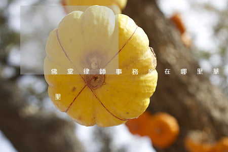佛堂律師事務所在哪里(華律律師事務所在哪里)