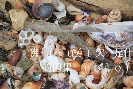 佛學(xué)欠債是什么因果-佛教講欠債的因果報(bào)應(yīng)