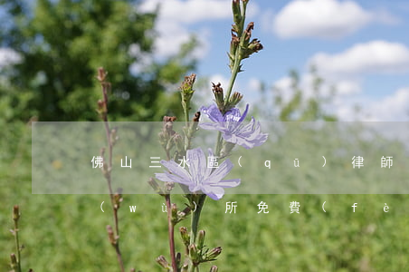 佛山三水區(qū)律師(佛山三水律師事務(wù)所免費(fèi)咨詢)