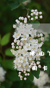 佛山信用卡逾期律师免费咨询在线-佛山信用卡逾期律师免费咨询在线电话