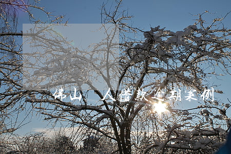 佛山個人借款逾期案例 個人貸款逾期