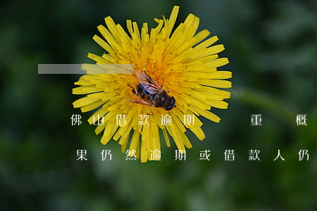 佛山借款逾期債務重組概念 重組后的貸款如果仍然逾期,或借款人仍然無力歸還貸款