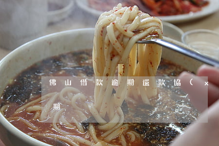 佛山借款逾期還款協(xié)商(借款人逾期)