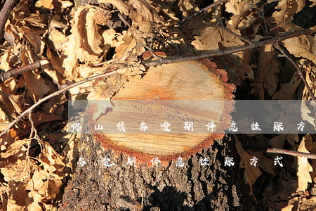 佛山债务逾期停息挂账方式有哪些-佛山债务逾期停息挂账方式有哪些呢