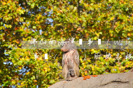 佛山南海律師事務(wù)所(佛山南海律師事務(wù)所排名榜)