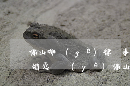 佛山哪個(gè)律師事務(wù)所打離婚更專業(yè)(佛山離婚律師費(fèi)用大概多少錢)