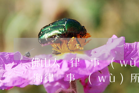 佛山大瀝律師事務(wù)所一覽表(佛山南海律師事務(wù)所)