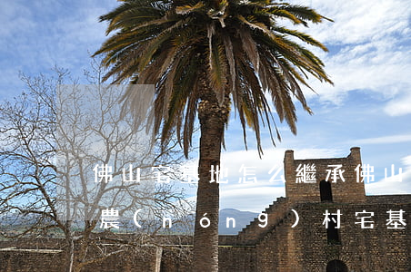 佛山宅基地怎么繼承(佛山市南海區(qū)農(nóng)村宅基地管理規(guī)定)