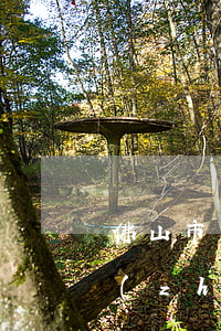 佛山市交通事故傷殘賠償標(biāo)準(zhǔn)是多少(佛山死亡賠償標(biāo)準(zhǔn))
