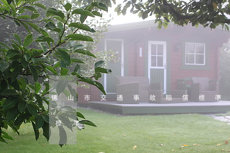 佛山市交通事故賠償標準(佛山人身損害賠償標準)