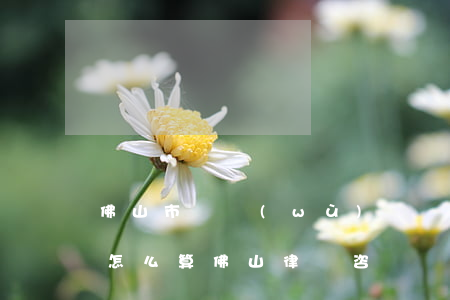 佛山市債務(wù)糾紛律師費(fèi)怎么算(佛山律師咨詢費(fèi)用收取標(biāo)準(zhǔn))