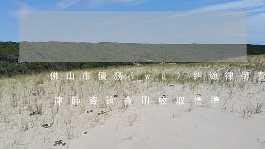 佛山市債務(wù)糾紛律師費怎么算(佛山律師咨詢費用收取標準)