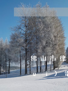佛山市律師(佛山市律師協(xié)會(huì)電話)