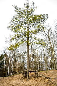 佛山市欠信用卡不還黑名單(佛山黑名單名單)
