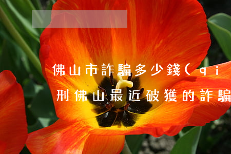 佛山市詐騙多少錢(qián)才可立案判刑(佛山最近破獲的詐騙案)