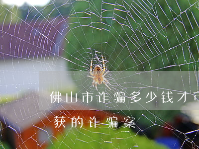 佛山市诈骗多少钱才可立案判刑(佛山最近破获的诈骗案)