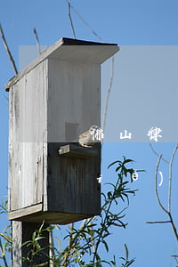 佛山律師協(xié)會(佛山市律師協(xié)會電話)