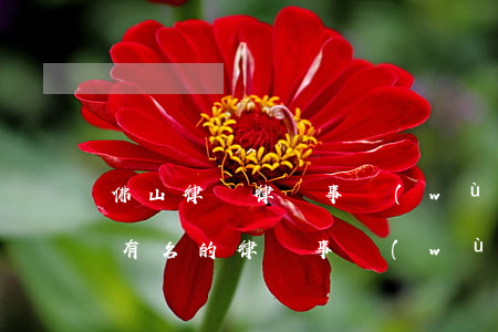 佛山律師律師事務(wù)所地址(佛山比較有名的律師事務(wù)所)